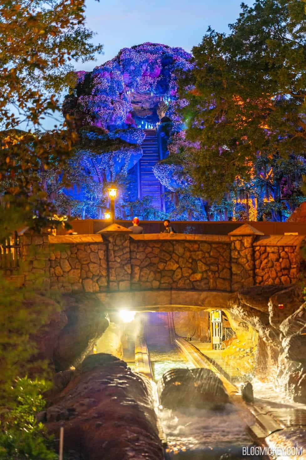 Stunning Tiana's Bayou Adventure Nighttime Lighting Package